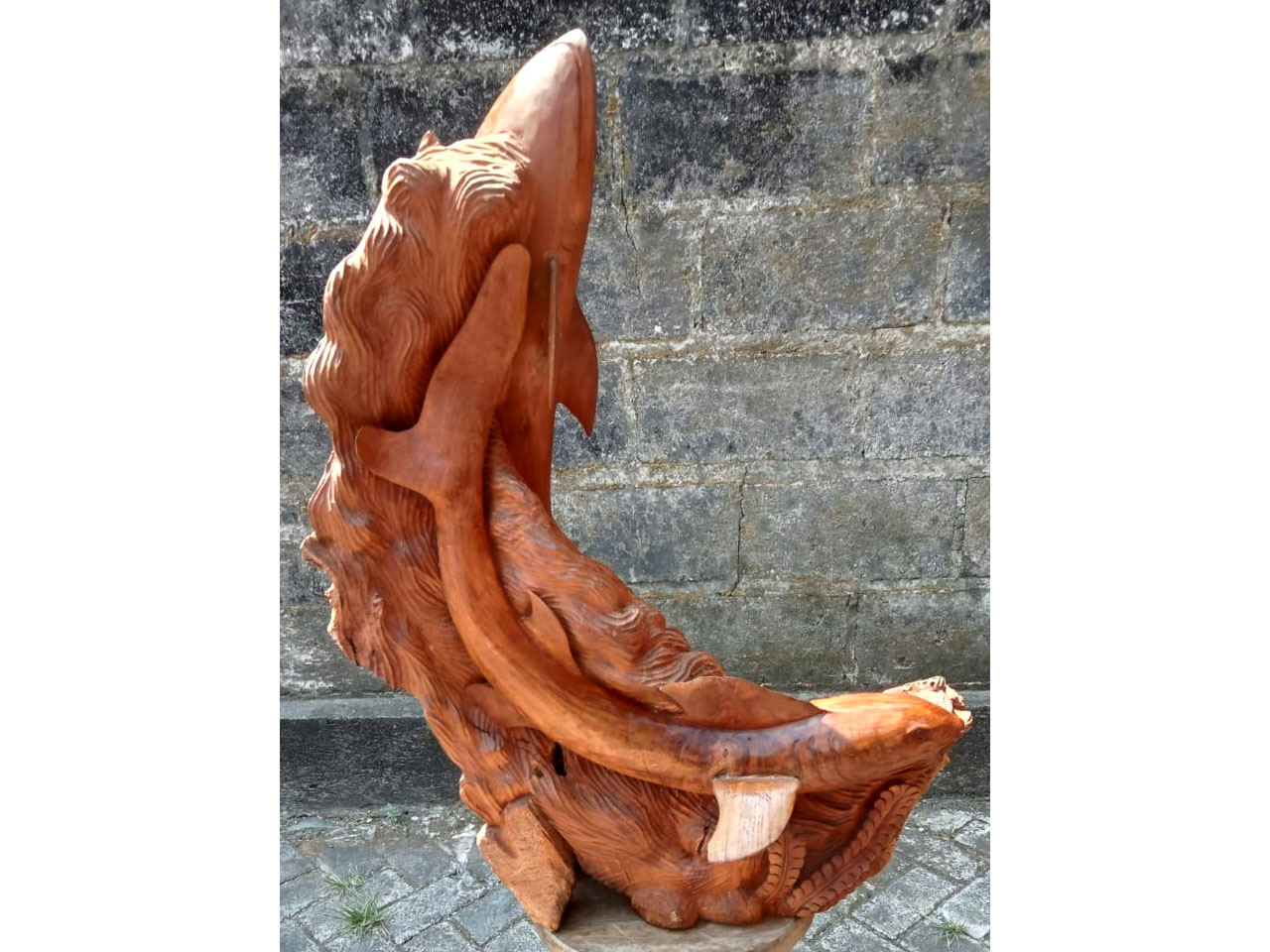 Ikan - Hiu