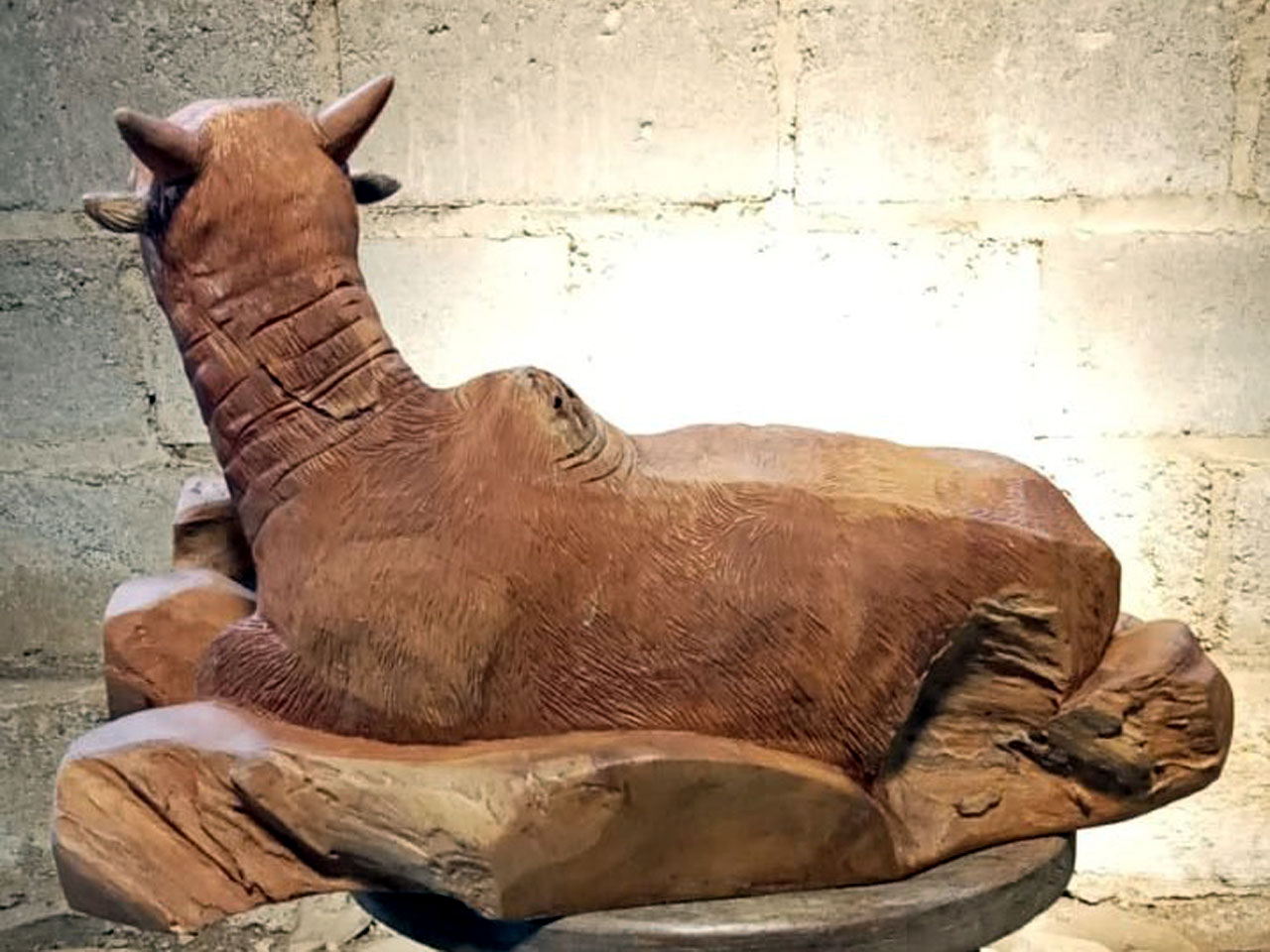 Kerbau/Sapi - 1 Ekor Sapi