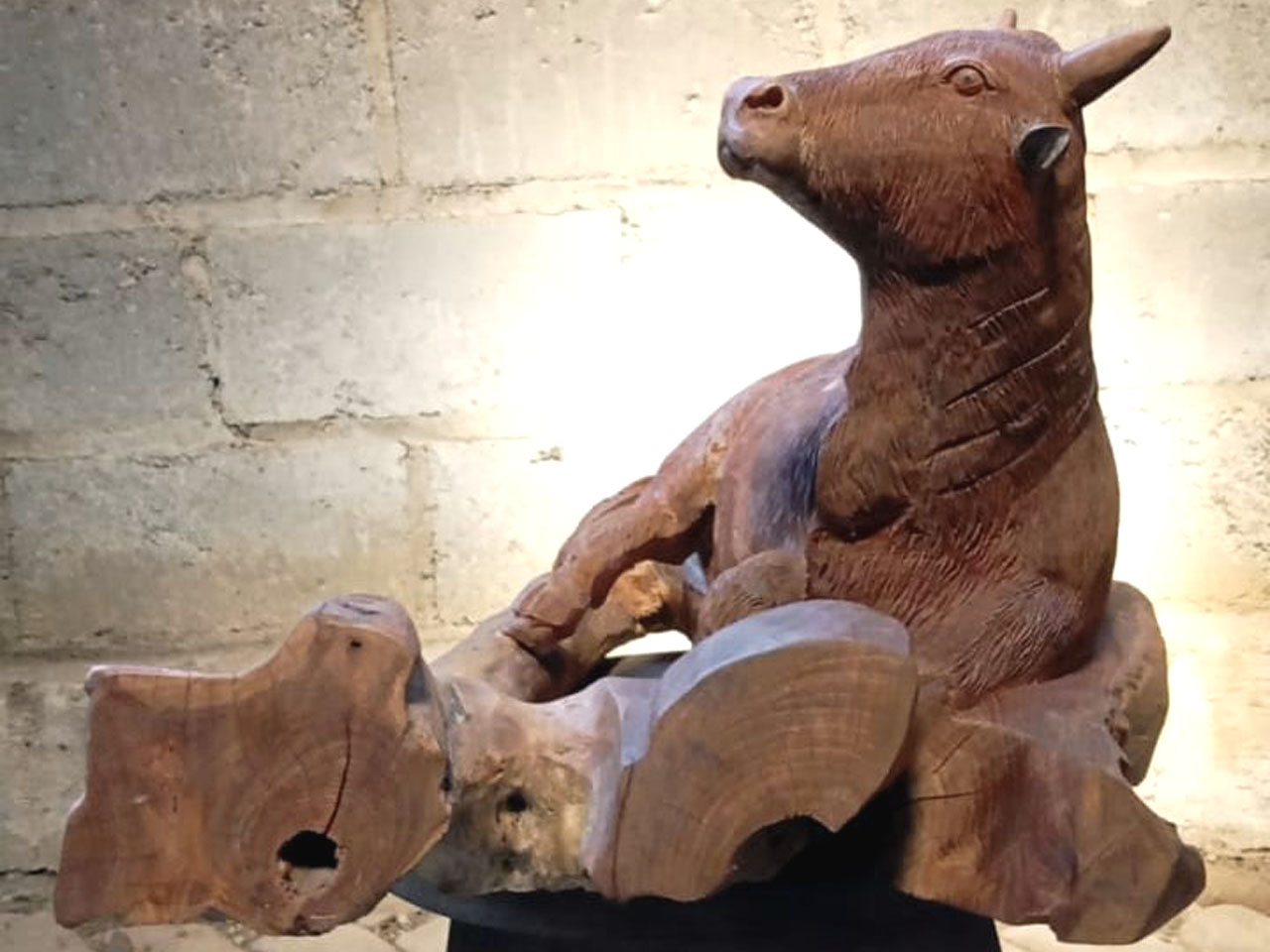 Kerbau/Sapi - 1 Ekor Sapi